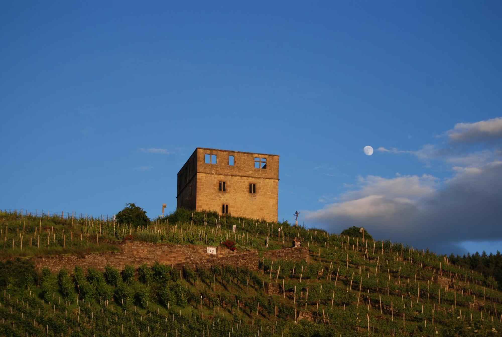 Unter Der Yburg Stetten 외부 사진