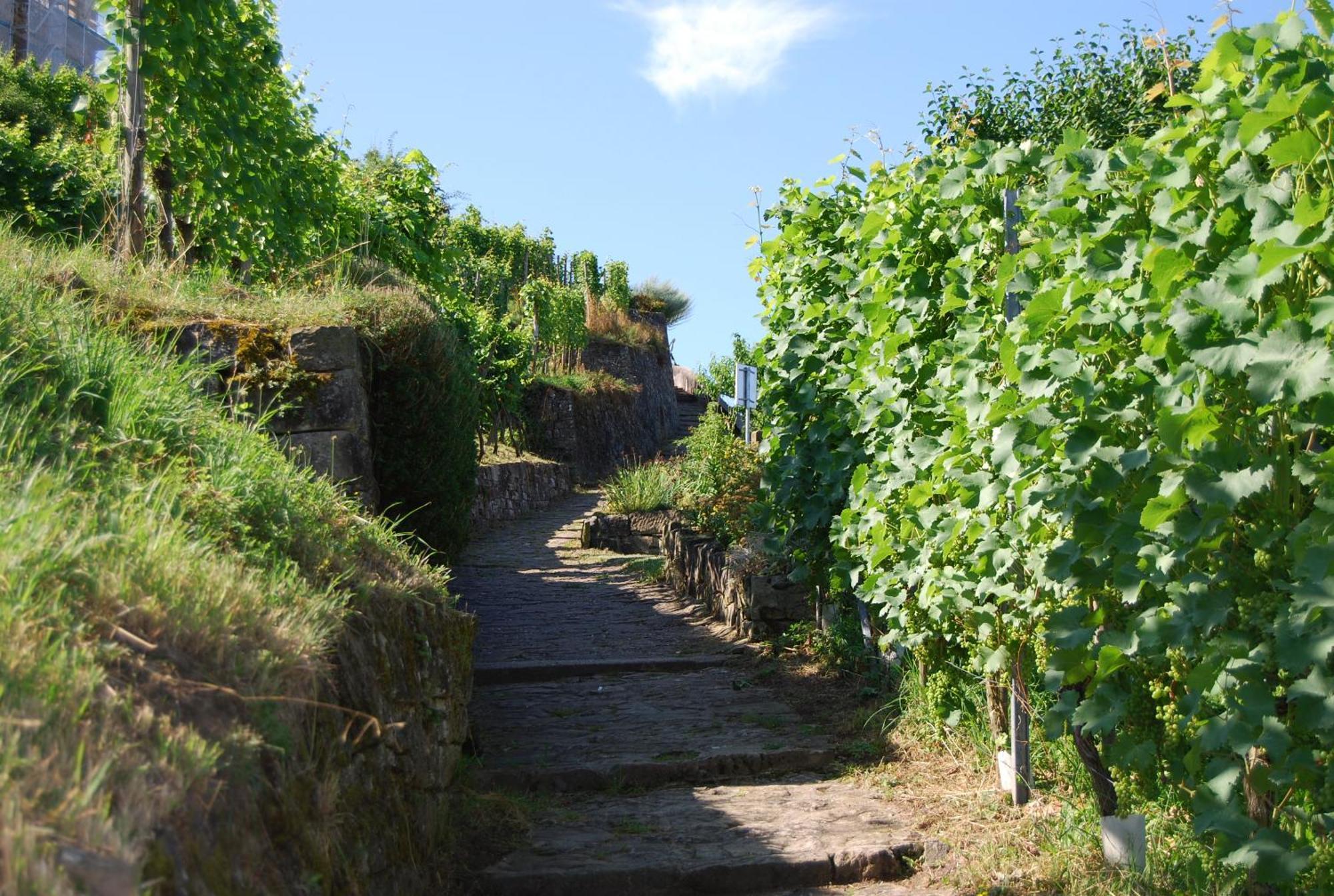 Unter Der Yburg Stetten 외부 사진