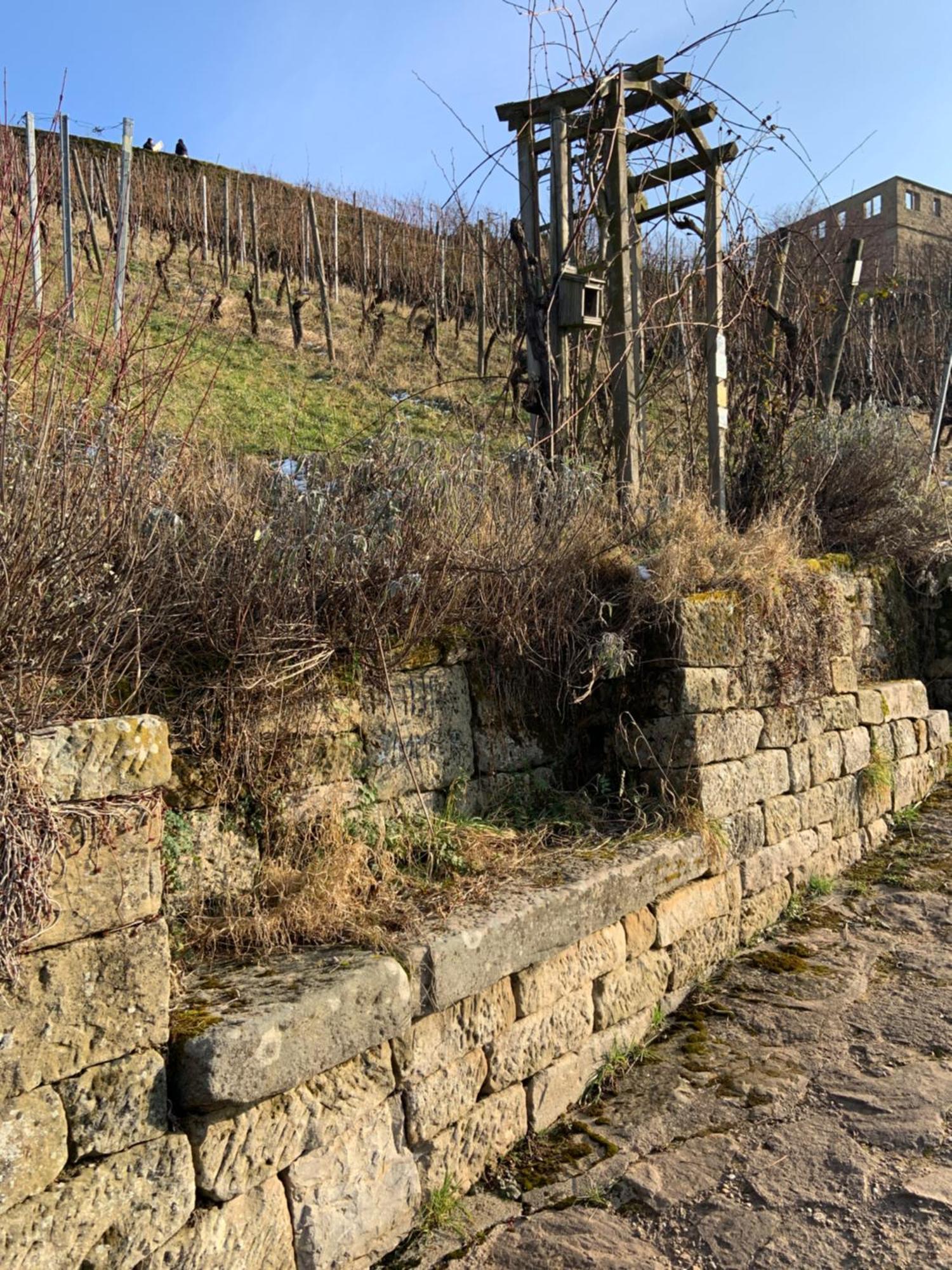 Unter Der Yburg Stetten 외부 사진